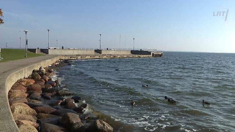 Atspindžiai. Paveldo kolekcija. Juodkrantės vilos – pasivaikščiojimas istorinio kurorto takais ir puošniais kvartalais