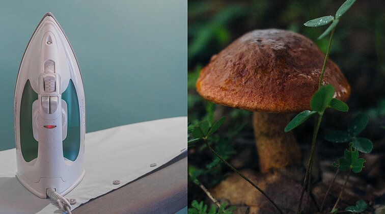 Vartotojų kontrolė. Artėjant žiemos šventėms – specialistų patarimai: kad lygintuvai veiktų, o grybai neprisimarinuotų