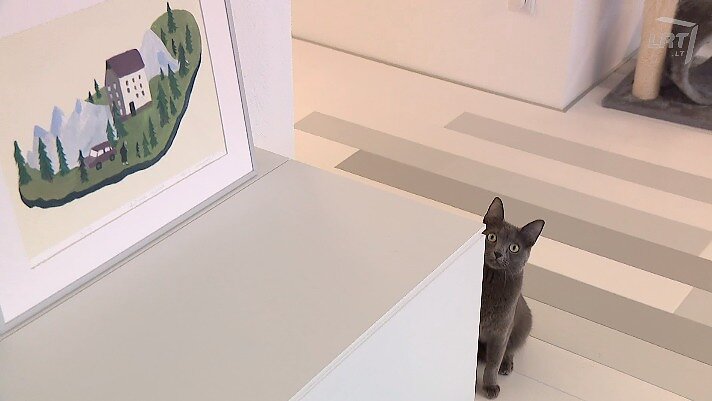 Veranda. Atliekų mažinimas, 2020-ųjų metų interjero spalva ir medinė architektūra