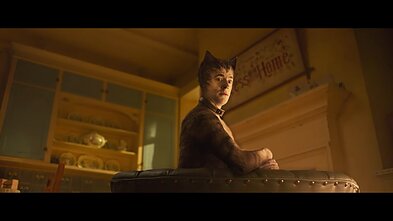 Filmas „Katės“