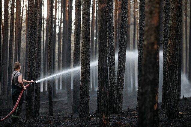Žinios. Pastarąją parą Lietuvoje kilo 57 gaisrai, daugiau nei pusė jų užregistruoti Vilniaus apskrityje
