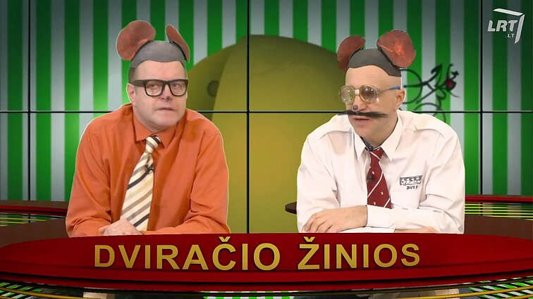 Peliukai apie Lietuvos prezidentą: turi labai daug galių, kurių, deja, neturi?