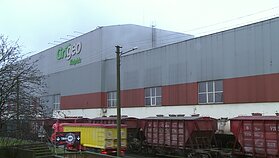 „Grigeo Klaipėda“. „Grigeo“ „Grigeo Klaipėda“. „Grigeo“