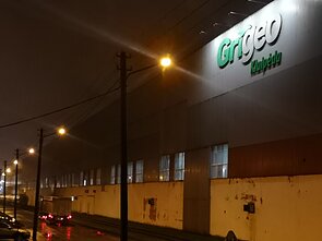 „Grigeo Klaipėda“. „Grigeo“ „Grigeo Klaipėda“. „Grigeo“