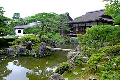 Aurelijaus Zyko kelionės į Japoniją