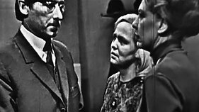 TV serialas „Petraičių šeimoje“ TV serialas „Petraičių šeimoje“
