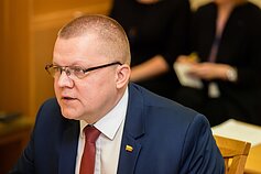 NSGK posėdis dėl Irinos Rozovos ryšių NSGK posėdis dėl Irinos Rozovos ryšių
