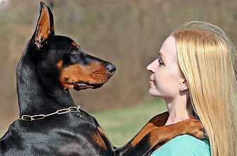 Dobermanas
