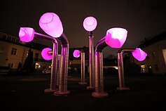 Vilniaus šviesų festivalis 2020 m. Vilniaus šviesų festivalis 2020 m.