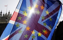 „Brexitas“. Balsavimas EP „Brexitas“. Balsavimas EP