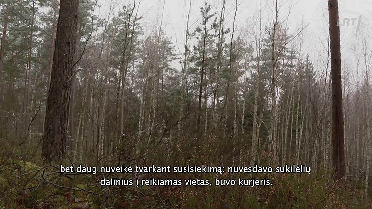 Kultūrų kryžkelė. Vilniaus albumas