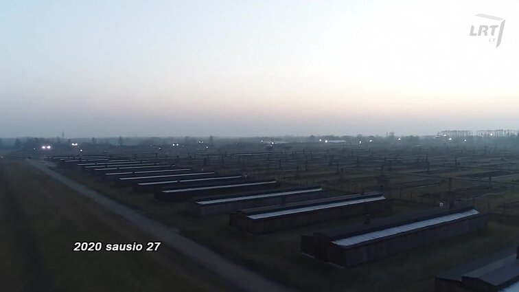 Kultūrų kryžkelė. Menora