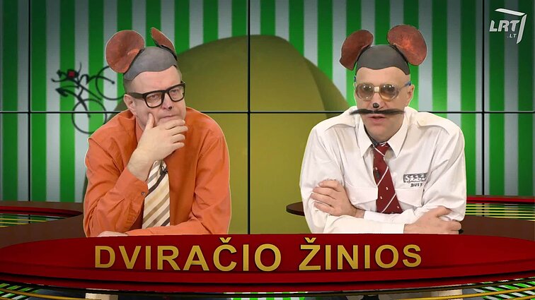 Peliukai apie senų liftų išjunginėjimą: kėsinamasi į paveldą?