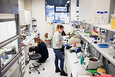 Studentai laboratorijoje