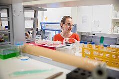 Studentai laboratorijoje