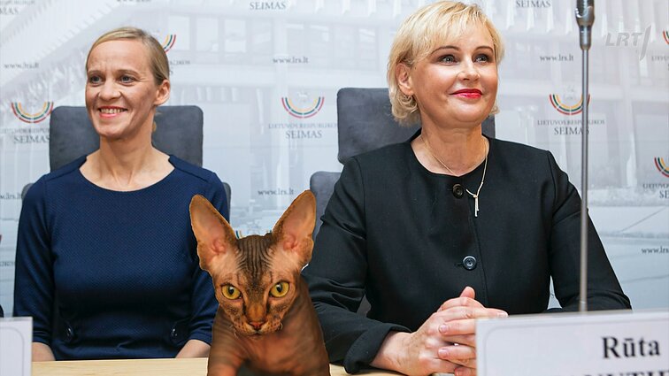 Dviračio žinios. Rūta Janutienė: mūsų nauja rinkimų strategija – pulti Dalią Grybauskaitę