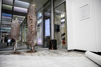 Manto Maziliausko kūrybos paroda-instaliacija „Kaukė“ Manto Maziliausko kūrybos paroda-instaliacija „Kaukė“