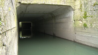 Klaipėdoje galimai užfiksuotas dar vienas taršos atvejis