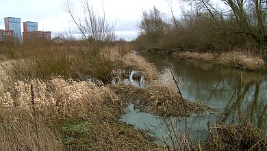 Klaipėdoje galimai užfiksuotas dar vienas taršos atvejis