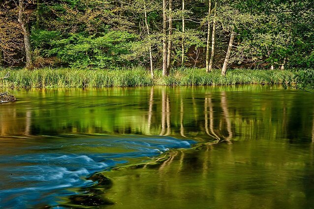 Dravos nacionalinis parkas
