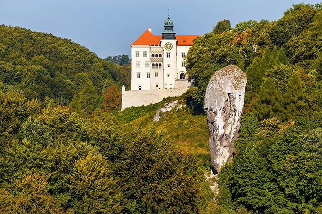 Oicuvo nacionalinis parkas