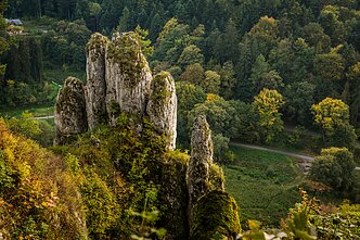 Oicuvo nacionalinis parkas