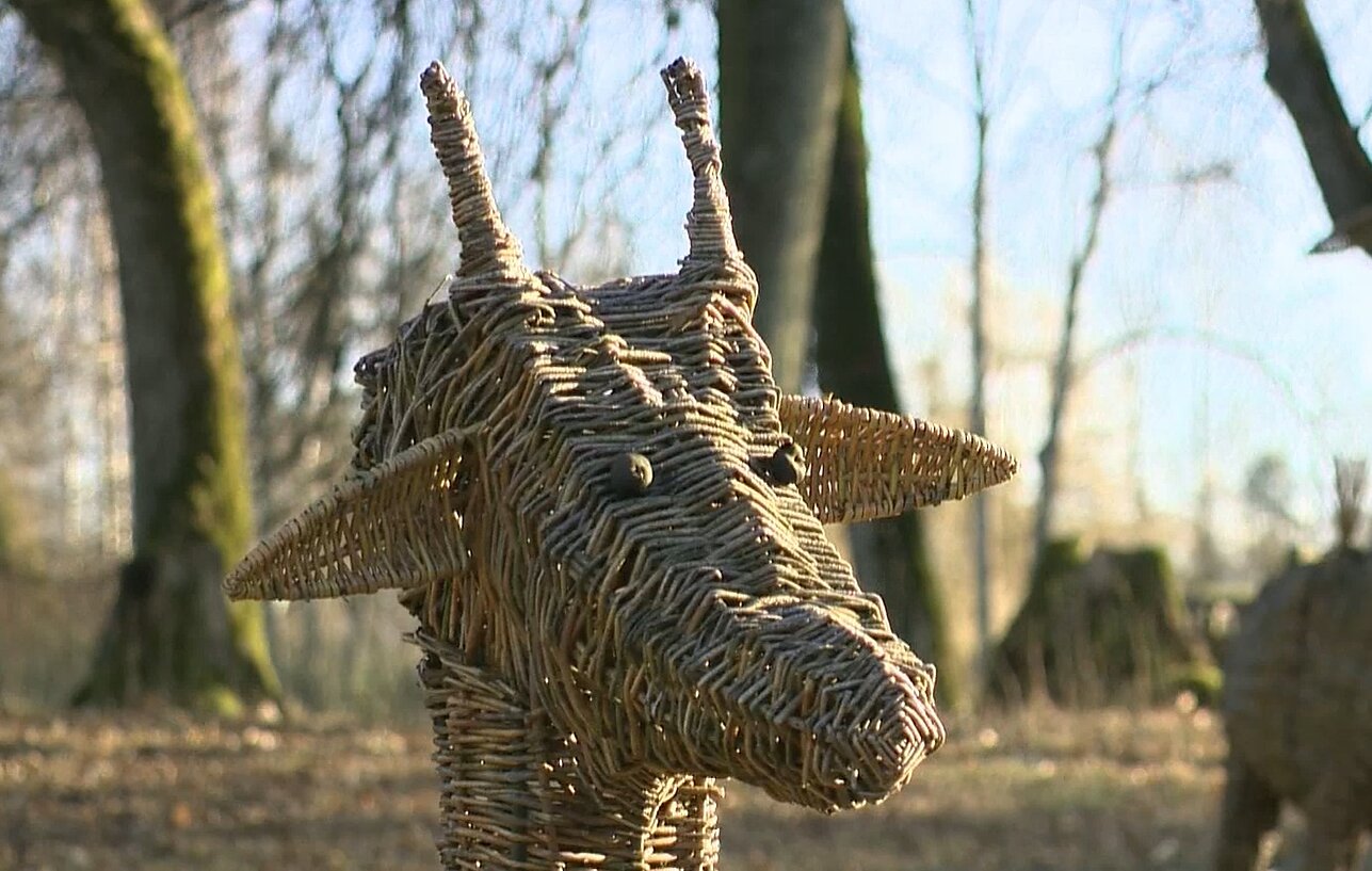 Skulptūra iš vytelių