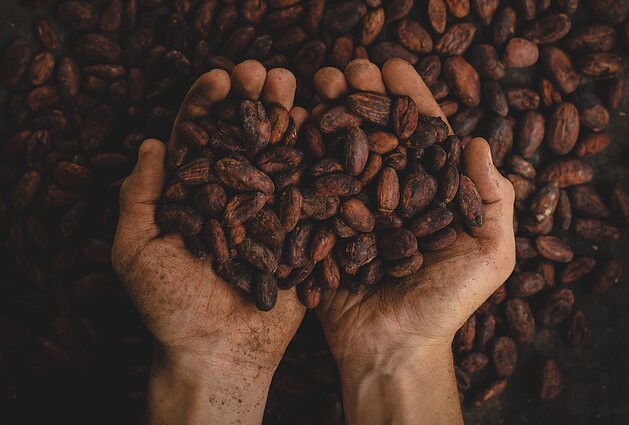 Kakavos paslaptys: anot žinovų, tai ypatingas gėrimas, suteikiantis daugiau jėgų nei arbata ar kava
