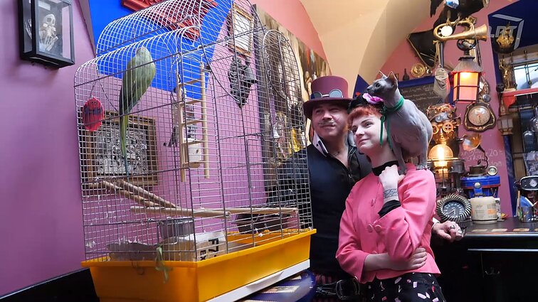 Poros pažintis prasidėjo nuo kačių: dabar šeima augina priglaustinukus – du sfinksus ir papūgą