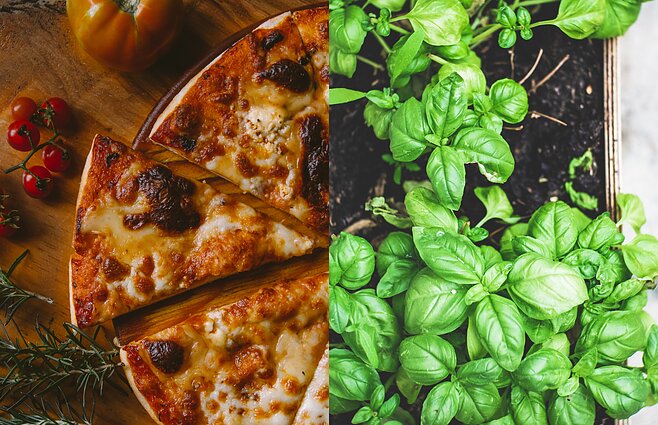 Vartotojų kontrolė. Tikros itališkos picos paieška ir prasidedantis daržininkystės sezonas – kaip atrasti kokybiškus produktus?