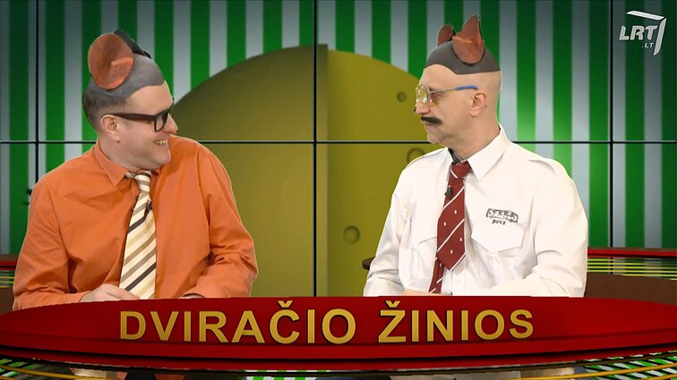 Peliukai apie Rakausko lėktuvą: galima gyventi kaip namelyje ant ratų?