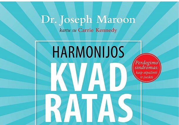 Knygos viršelio fragmentas