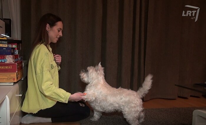 Mūsų gyvūnai. Dainininkė KaYra – tikro išdaigininko šeimininkė: Bachas nepripažįsta kitų patinų ir krečia šunybes kaimynams
