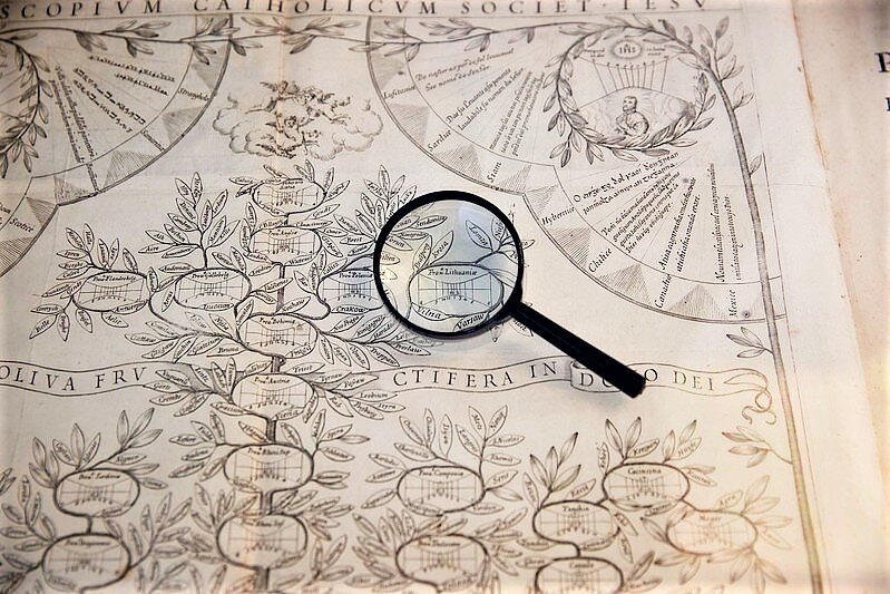 Paroda. VU biblioteka.