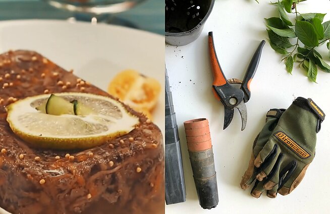 Vartotojų kontrolė. (Ne)teisingas želatinos vartojimas ir pasiruošimas sugrįžimui į sodą