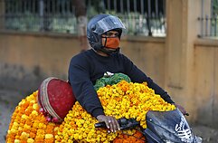 Koronavirusas Indijoje Koronavirusas Indijoje