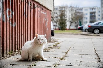 Karantinas Lietuvoje Karantinas Lietuvoje