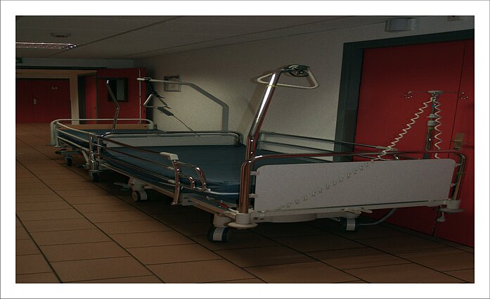 Svajonė ir Paulius Stanikai