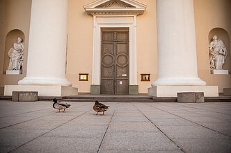 Orai pavasarį; miestas