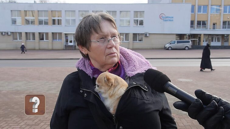 Klausimėlis. Ką žinote apie vabzdžius?