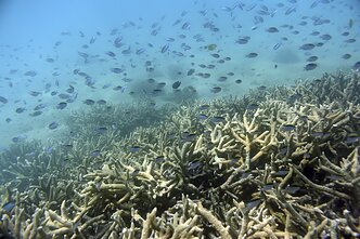 Great Barrier Reef