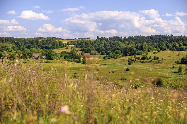 Laukai/laukas/pieva/pievos