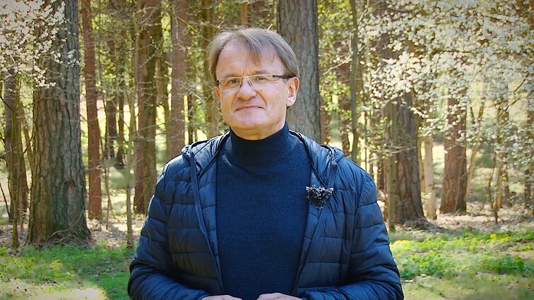 Vartotojų kontrolė. Miško žalumynų pritaikymas kasdieniams patiekalams ir atidesnis žvilgsnis į virtuvines kempinėles