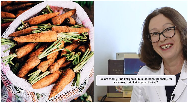 Speciali medikų penkiaminutė: jei ant sėklų bus koronaviruso pėdsakų, ar morkos ir ridikai išdygs užkrėsti?