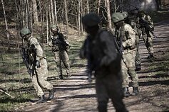 Lithuanian troops Lithuanian troops