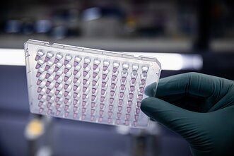 VU Gyvybės mokslų centro laboratorija