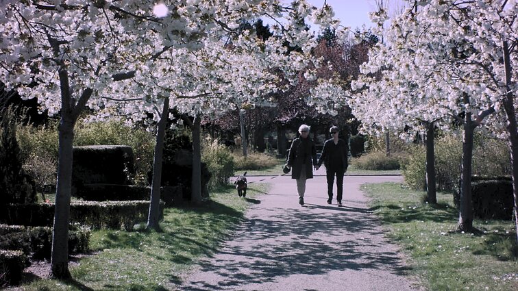 Rūta ir Vibekė, laida „Spalvos“