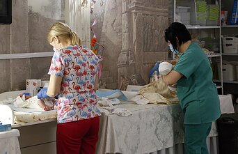 Surogatinių motinų pagimdyti kūdikiai viename iš Kijevo viešbučių