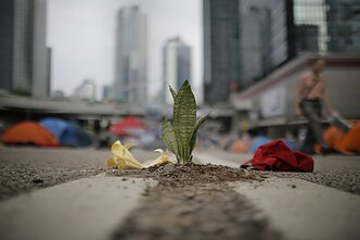 Protestai Honkonge Protestai Honkonge