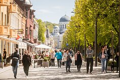 Kaunas, Laisvės alėja